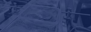 Food-processing controlled environment